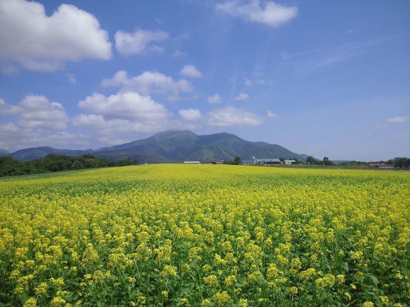 Karimpani Niseko Fujiyama Hostel Exterior foto